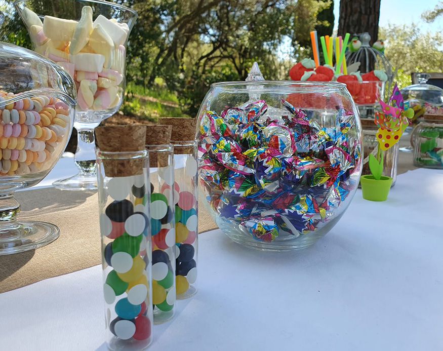 Privatize a Provençal villa in Vence for a family celebration