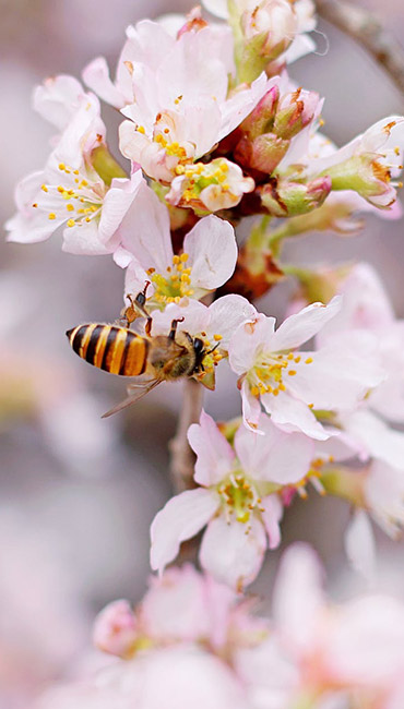 Hotel Cantemerle - our committed and eco-responsible approaches