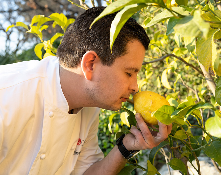 Restaurant le Cantemerle, cuisine du midi et de la méditerranée par Chef Benjamin Bourgoin