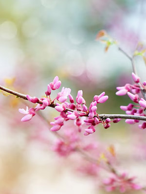 Pre-opening of the hotel...